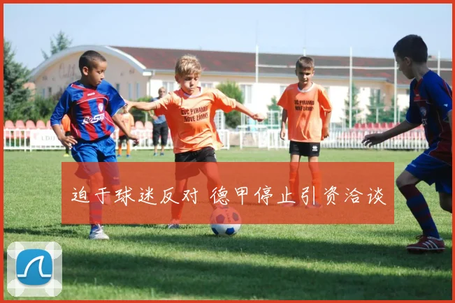 迫于球迷反对 德甲停止引资洽谈