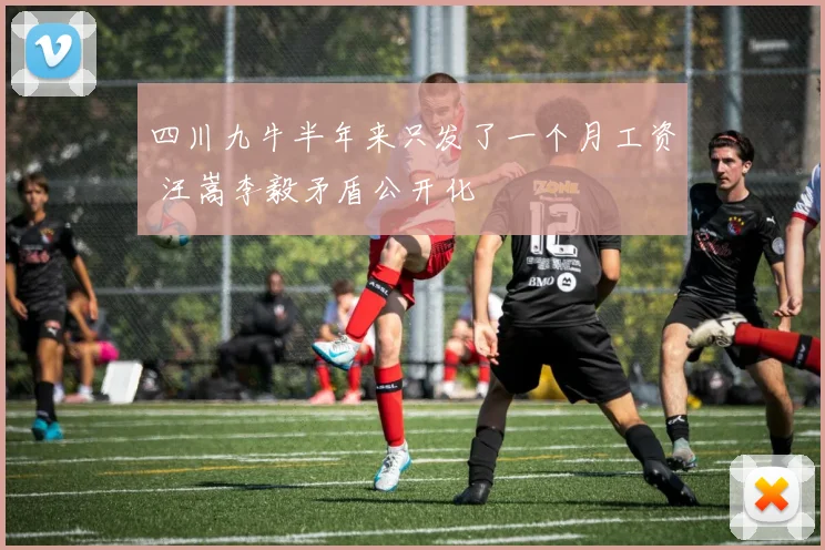 四川九牛半年来只发了一个月工资 汪嵩李毅矛盾公开化